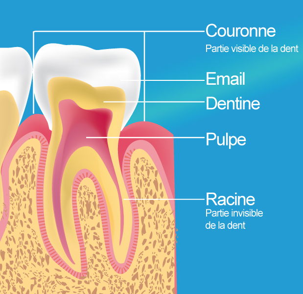 devitalisation dentiste epinay sur seine